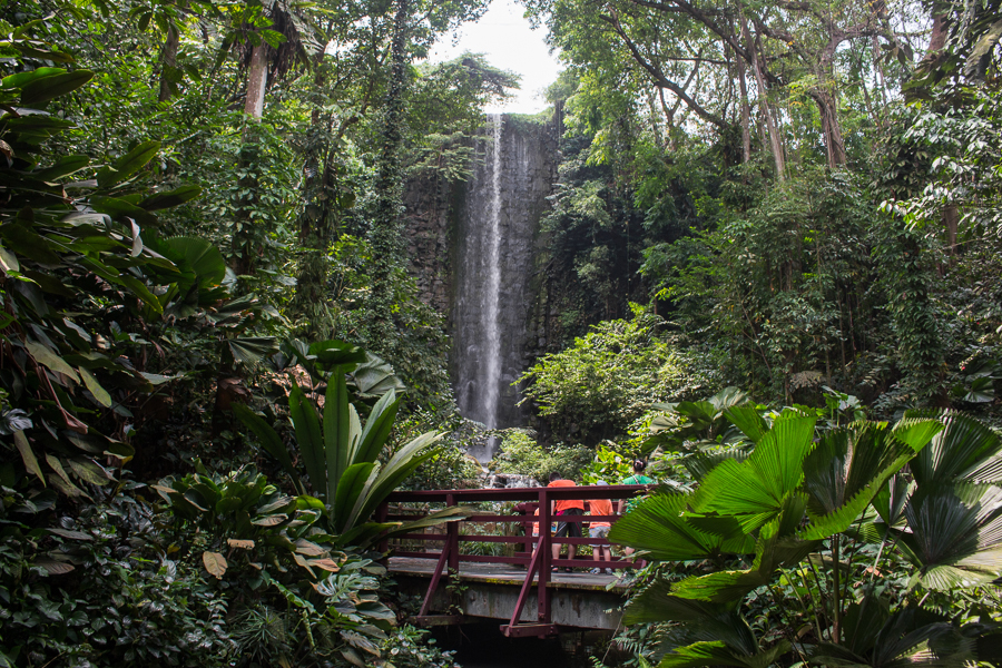 Waterfall Aviary Jurong Bird Park
