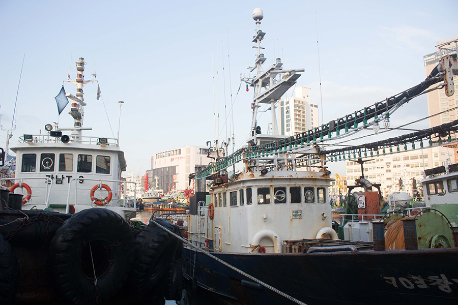 Ships docked in Busan