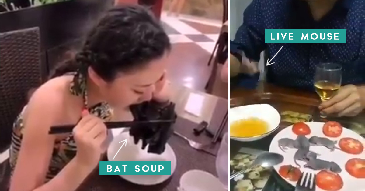Coronavirus Spread Due to Bat Soup? – Some Other Weird Foods Served in ...