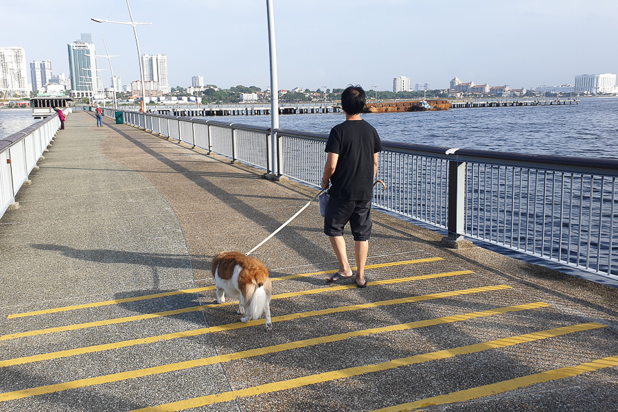Man Walking Dog Along Woodlands Waterfront Park