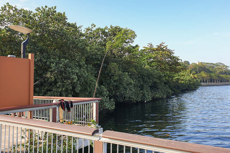 Fishing at Woodlands Waterfront Park