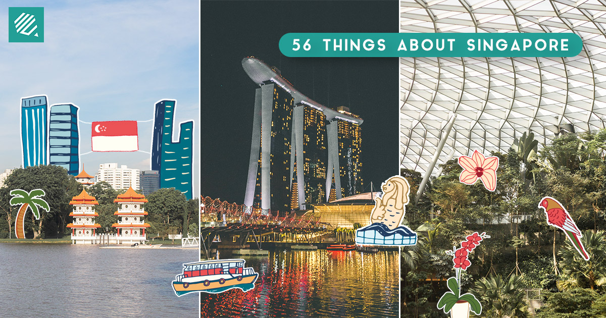 58 Things That Are Just So… Singapore: Chicken Rice, Singlish and MBS