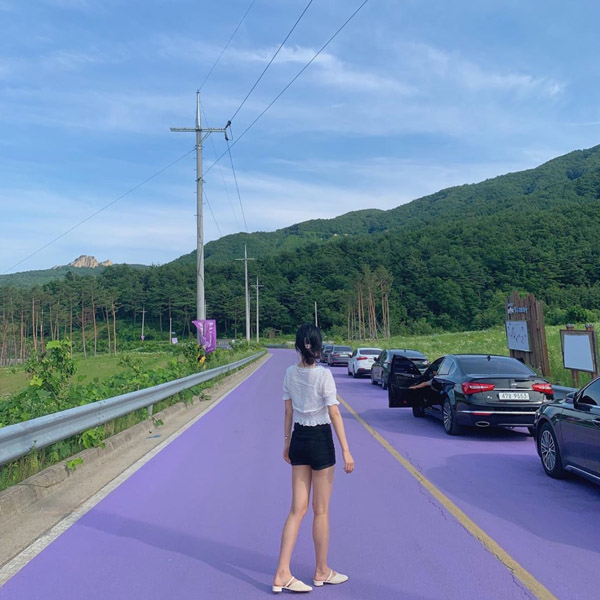 purple road in korea, a girl standing in the middle of the road with cars parked at the side