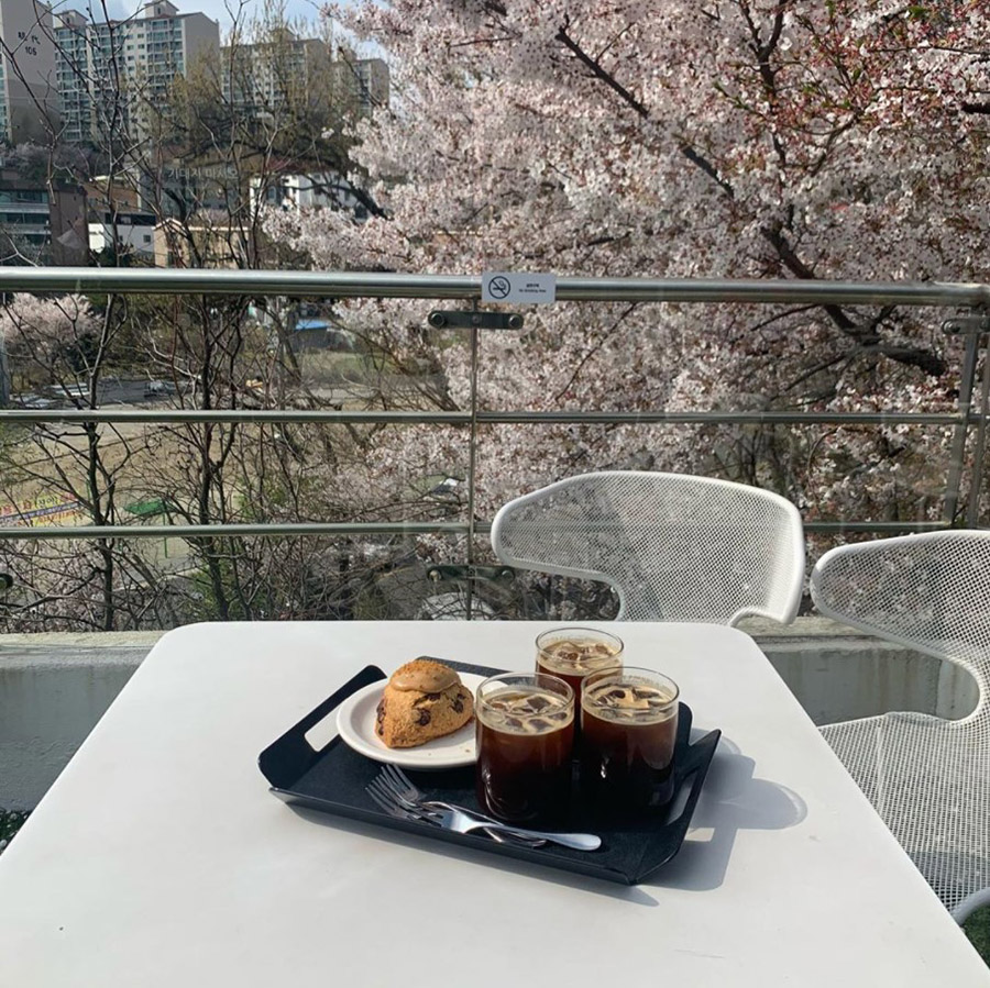 cups of coffee with cherry blossoms in the background
