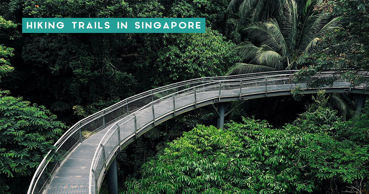 12 Hiking Trails In Singapore You Should Definitely Check Out