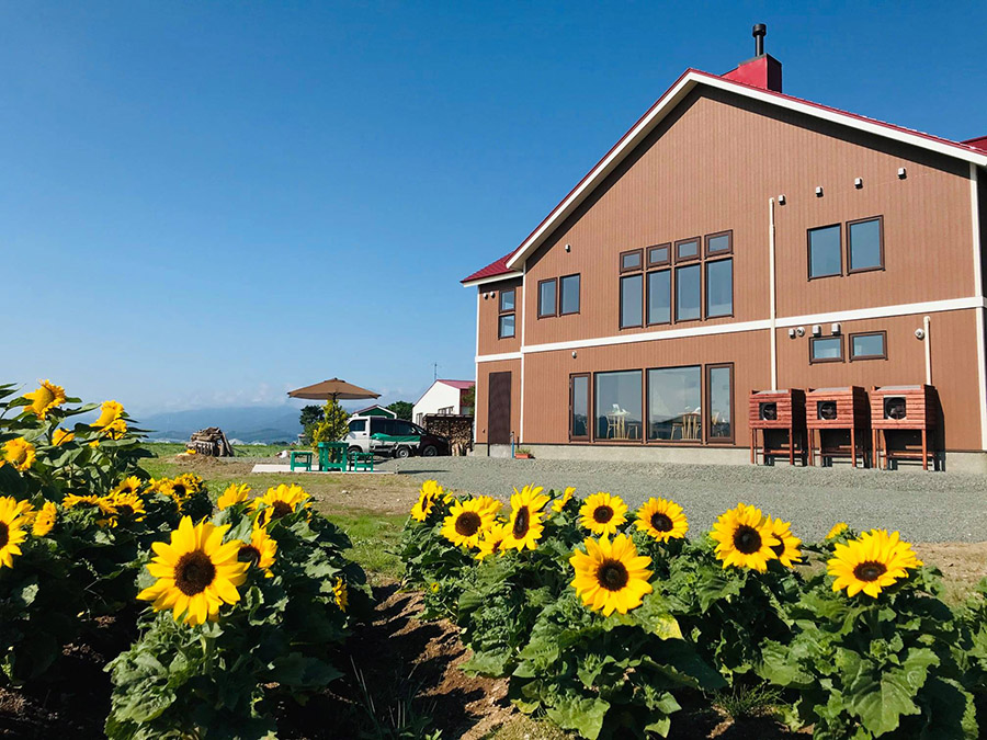Hokkaido Accomodation near Furano surrounded by sunflowers