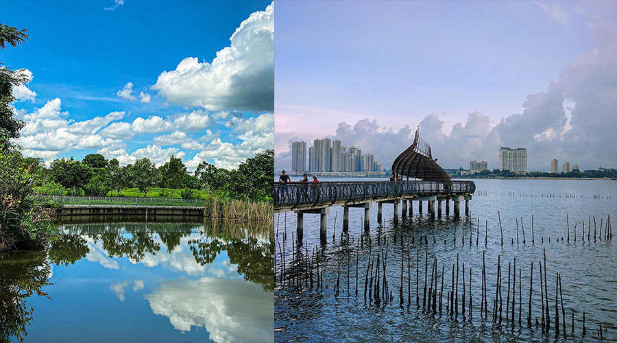 Sungei Buloh Wetland Reserve Singapore Near Kranji MRT