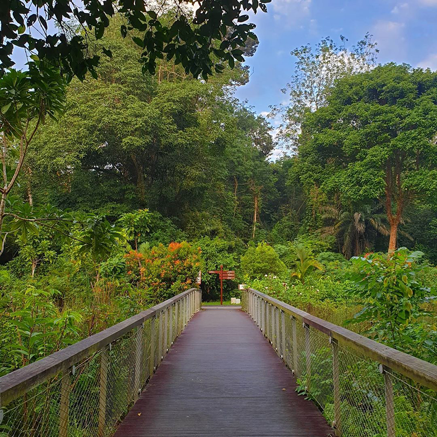 Windsor Nature Park in Singapore