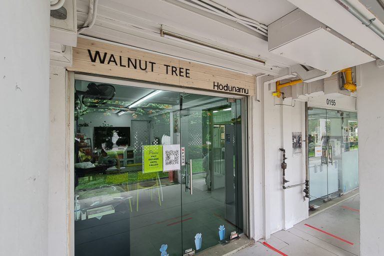 Hidden Authentic Korean Rice Cake Shop With Mugwort
