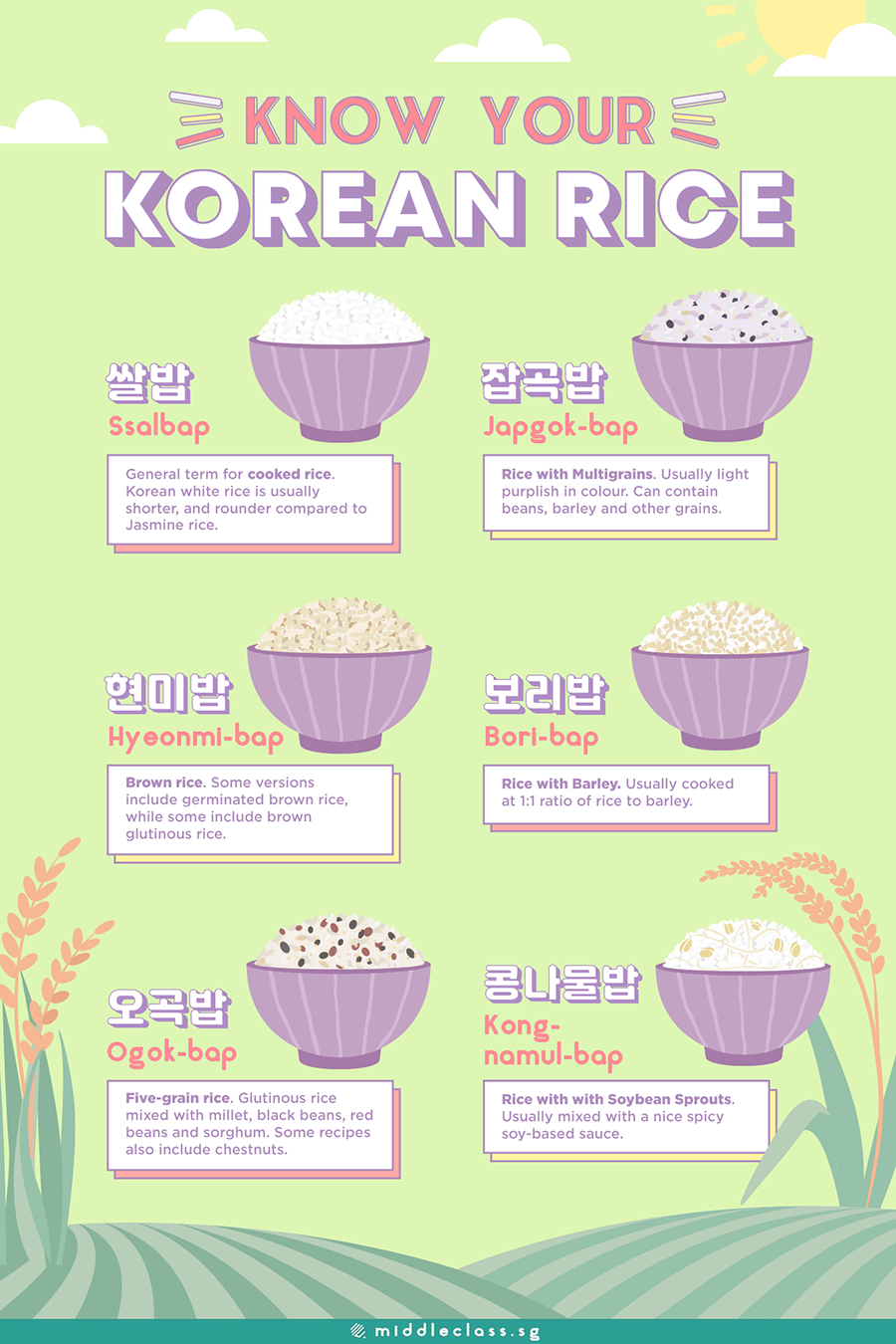 Infographic on Types of Korean Rice