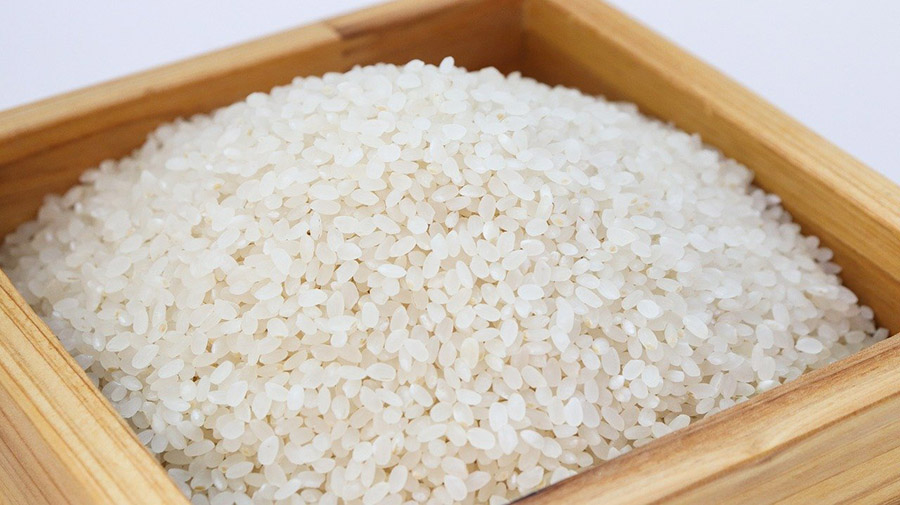A pile of uncooked korean rice with short grains
