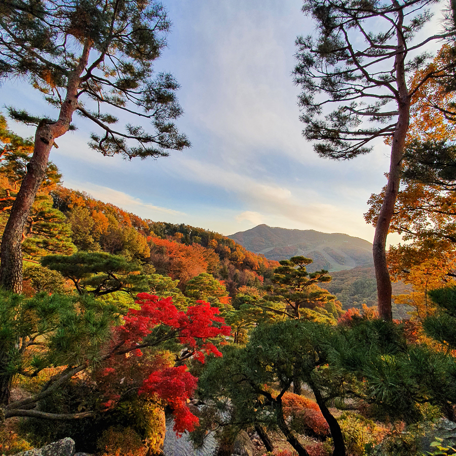 Hwadam Botanic Garden in South Korea