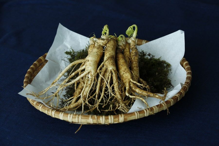 Ginseng roots on a plate