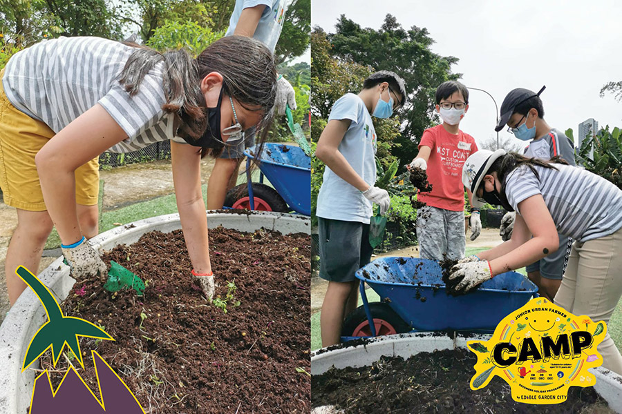 Kids doing gardening in Singapore, a holiday programme for kids by Edible Garden City