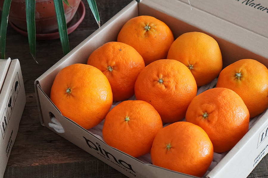 A box of Jeju Red Hyang Tangerine from BlueBasket