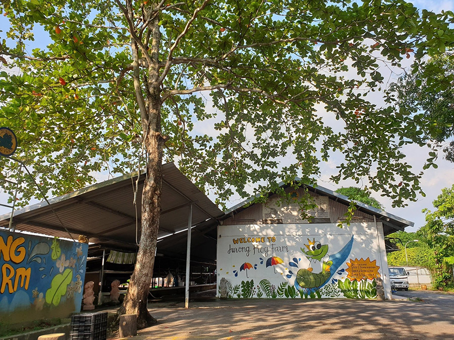 Jurong Frog Farm Entrance