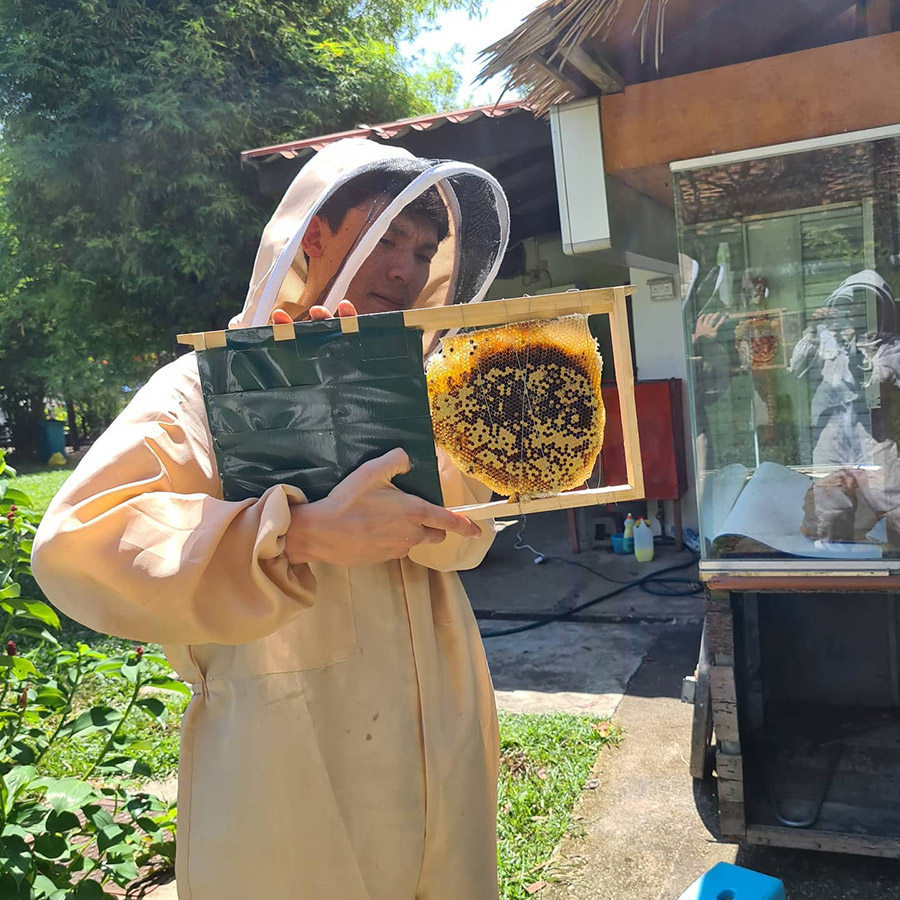 Experiencing Bee upclose and personal by wearing a beekeeper's suit in Singapore at The Sundowner