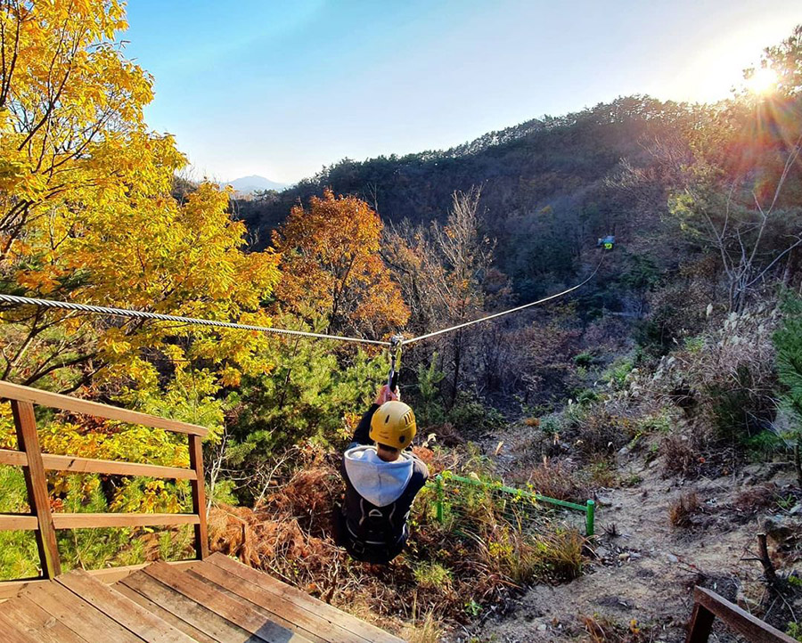 MunGyeong Zipwire in South Korea during Autumn