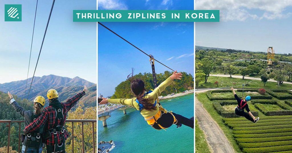 Ziplines in Korea FB Cover