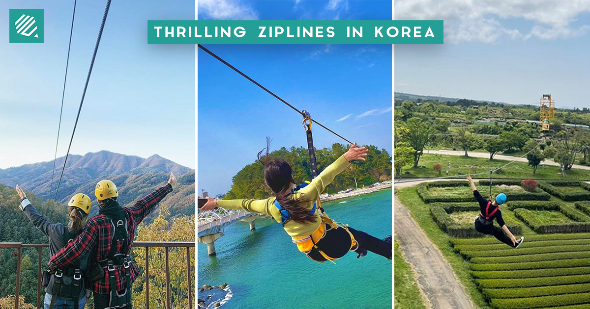 10 Ziplines in Korea For An Adventurous, ThrillSeeking Time