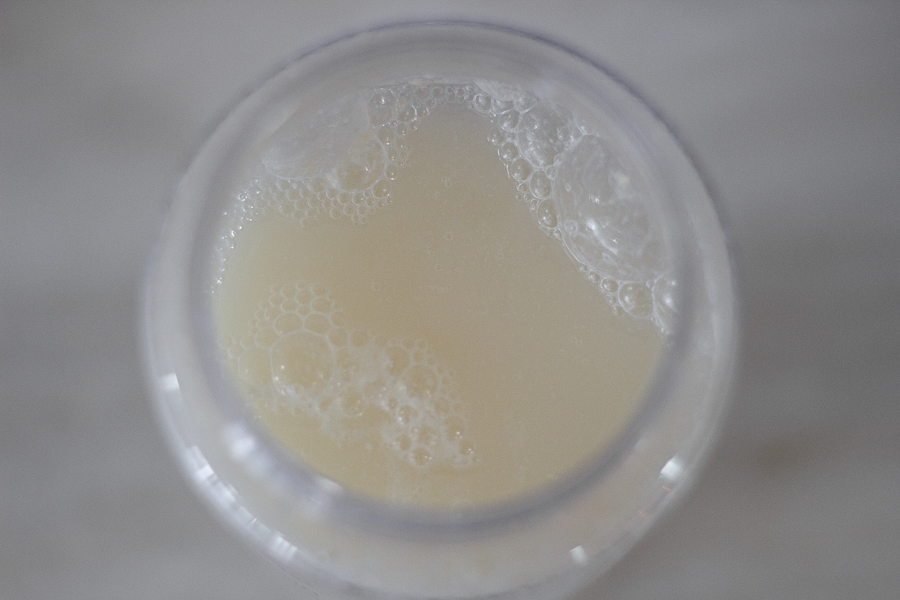 Bubbles forming after 24H Fermentation of the Makgeolli