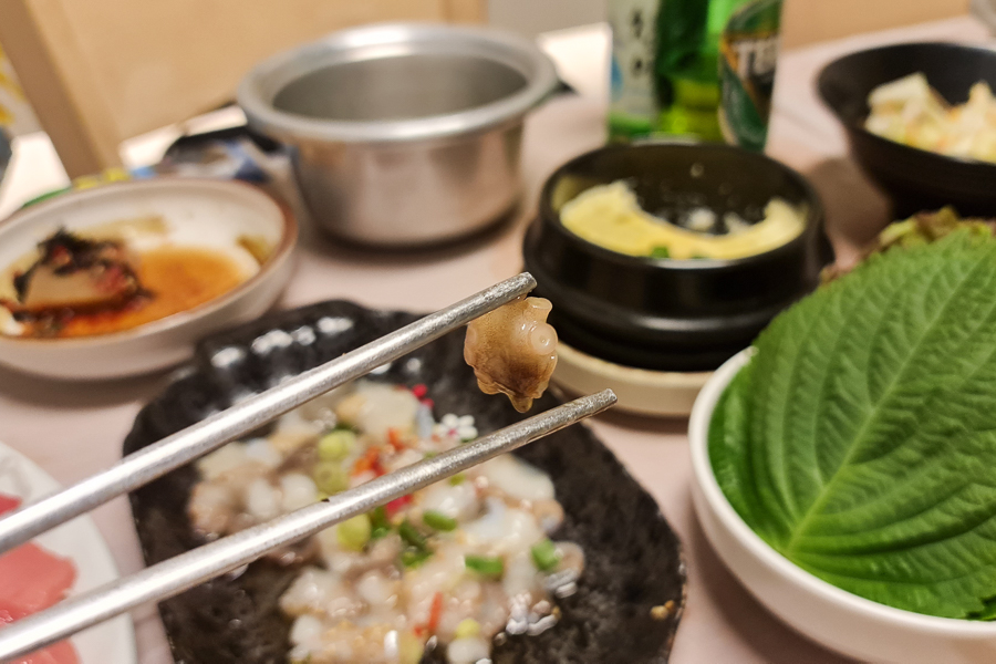 Live octopus sticking to chopstick