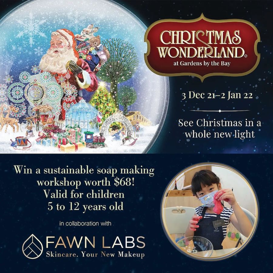 Fawn Lab Christmas Wonderland 
