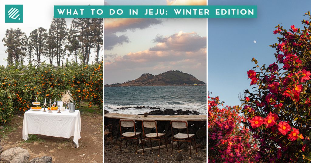 places to visit in jeju winter