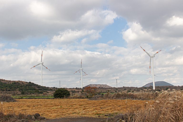 7 Things To Do In Jeju During Winter Tangerine Picking, Climb An Oreum & More