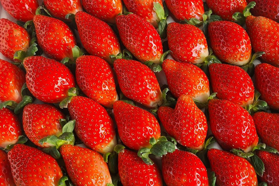 Durihyang Strawberry from Korea