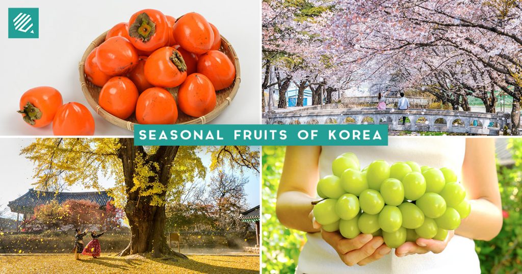 Seasonal Fruits Korea FB Cover