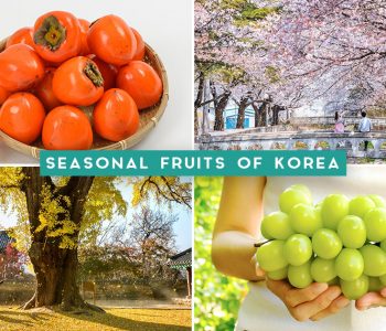 Seasonal Fruits Korea FB Cover