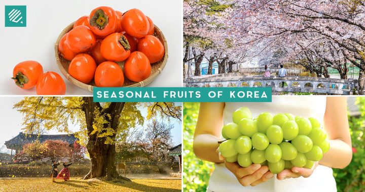 Seasonal Fruits Korea FB Cover