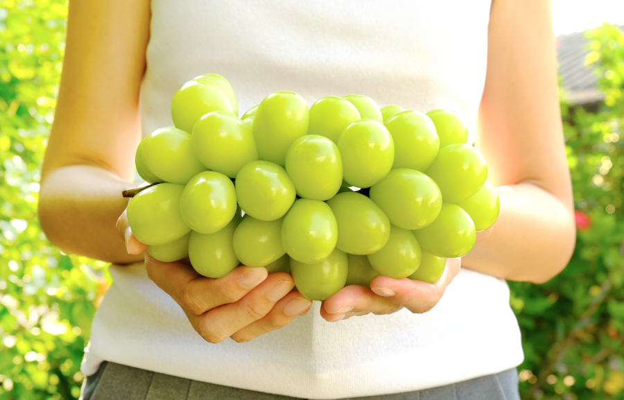 Big bunch of fresh green muscat grape in woman hands