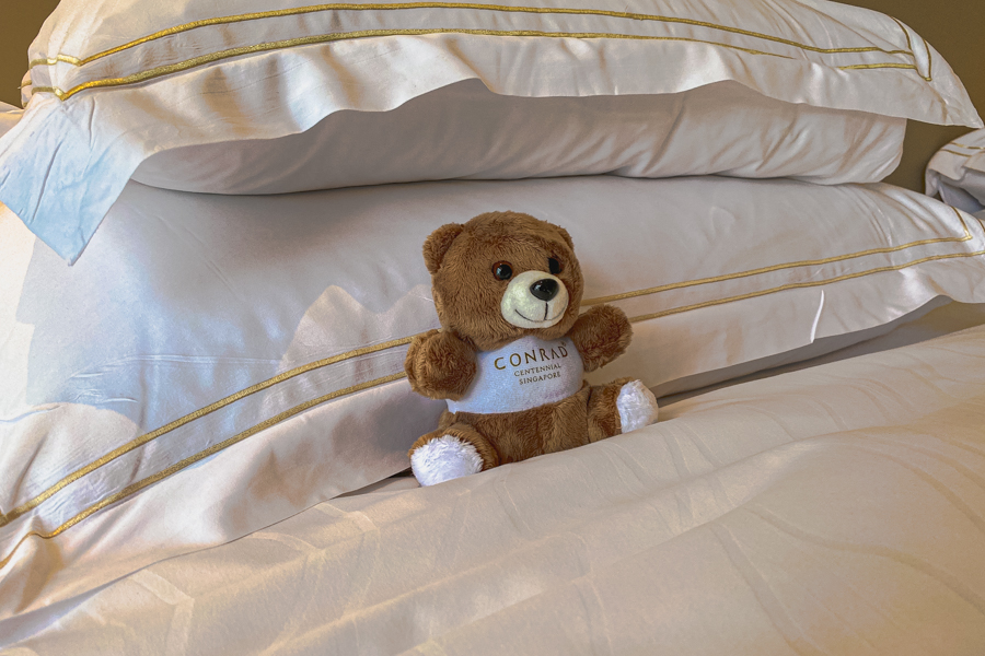 Teddy Bear Mascot Conrad