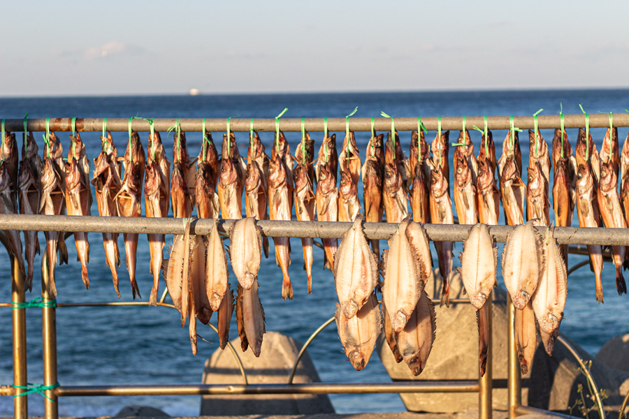 Sights Along The Sokcho Coast