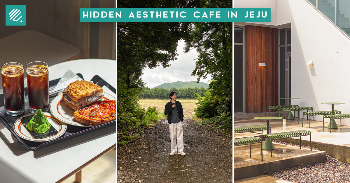 Andor Bakery & Coffee (안도르) Hidden Jeju Cafe In The Forest With Cute
