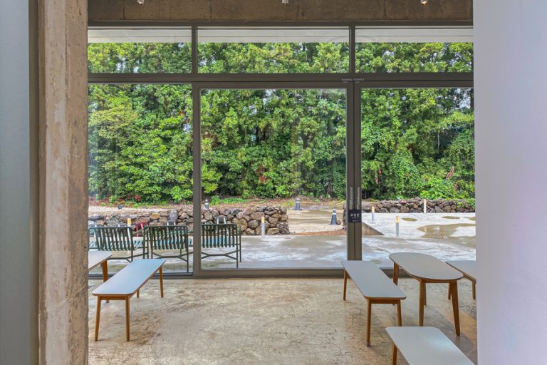 Andor Bakery & Coffee (안도르) Hidden Jeju Cafe In The Forest With Cute