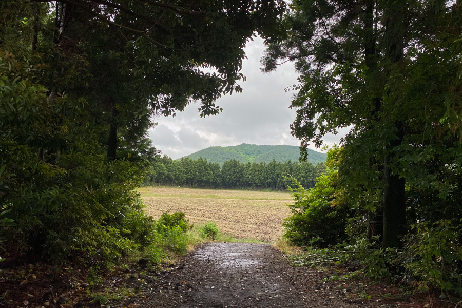 Photo Spot near Cafe Andor