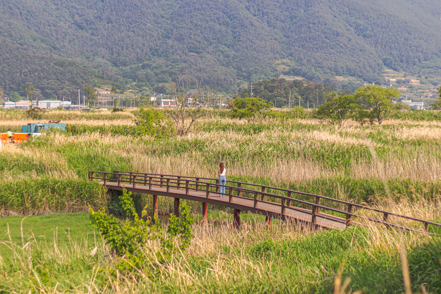 Suncheon Wetland Reserve