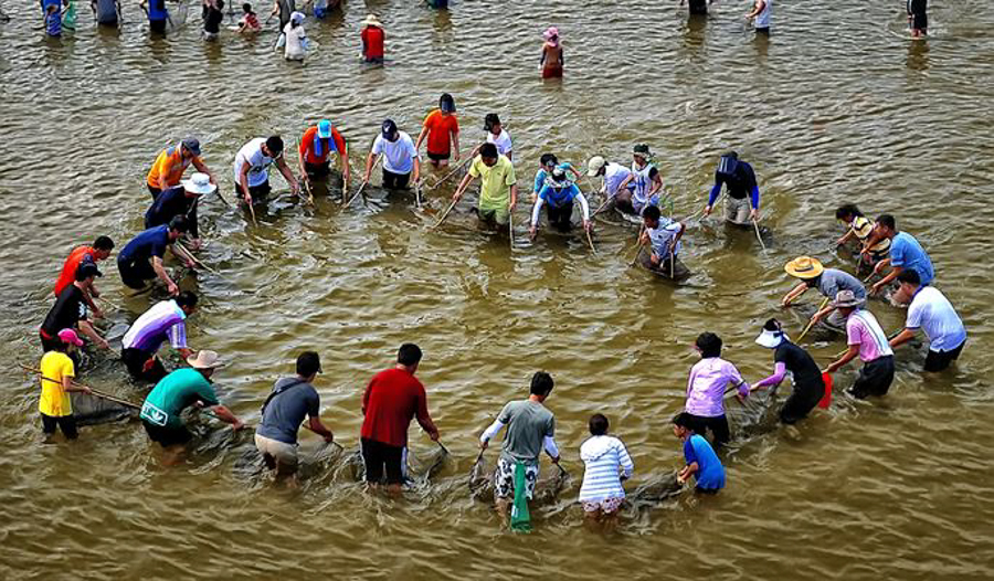 A group os people catching sweetfish by hand at the Bonghwa Sweetfish Festival in Bonghwa, South Korea