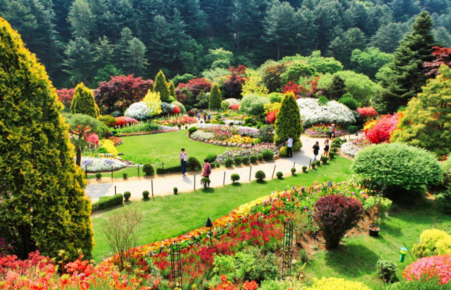 A panorama of the Garden of Morning Calm in Gapyeong, South Korea