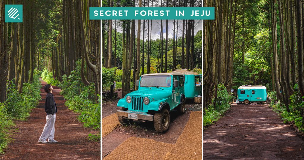 Jeju Secret Forest Cover