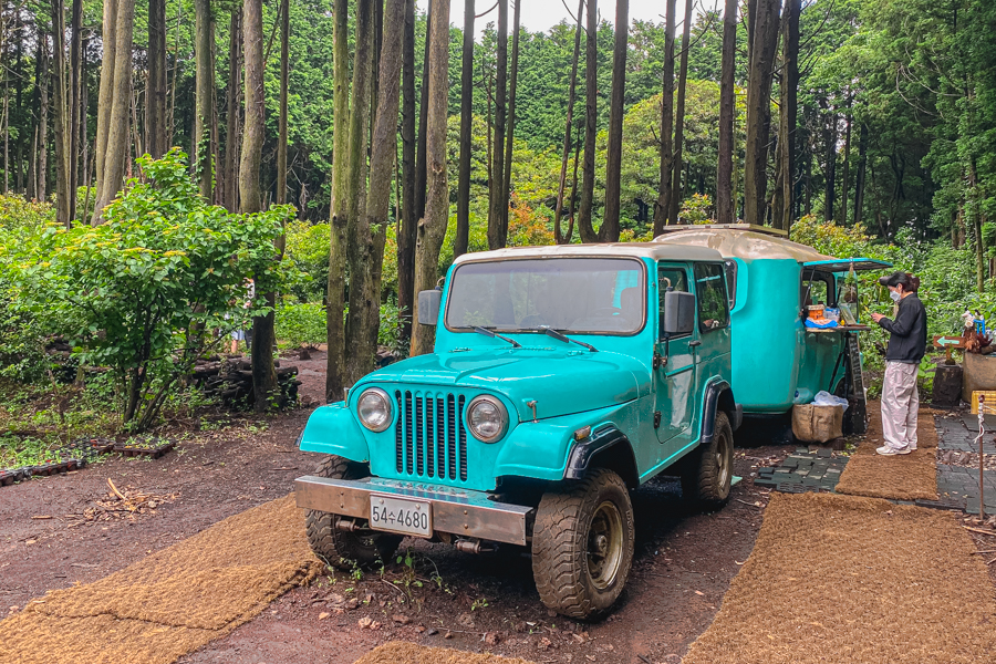 Mint Coloured Vehicle in Jeju