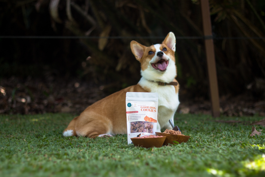 A Corgi dog posing behind a bag of ENDOGRUB X PawFoo Pet Treats by Endo Industries