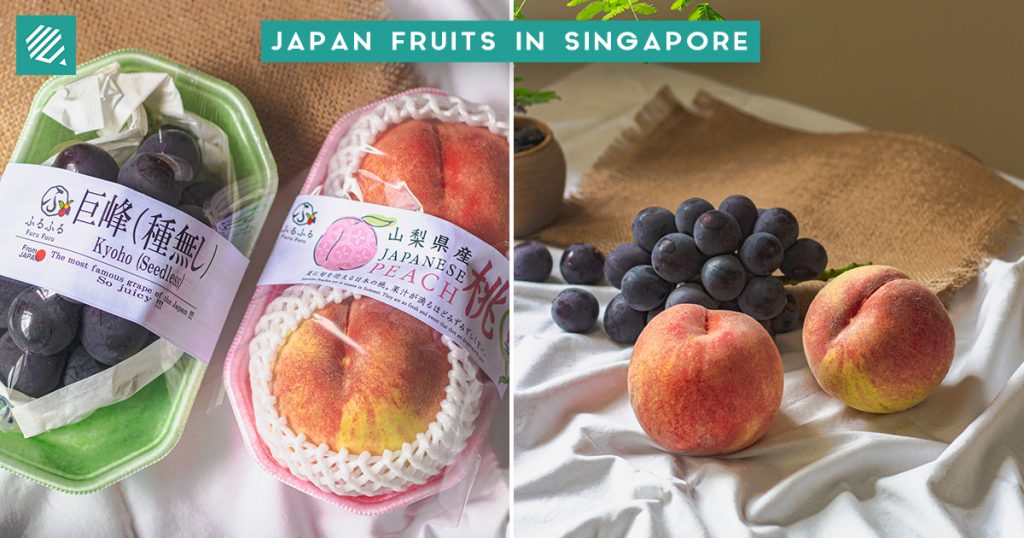 Japan Fruits Cover Photo