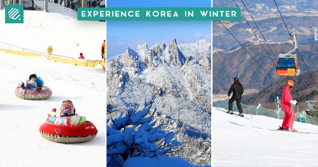 travel to korea during winter