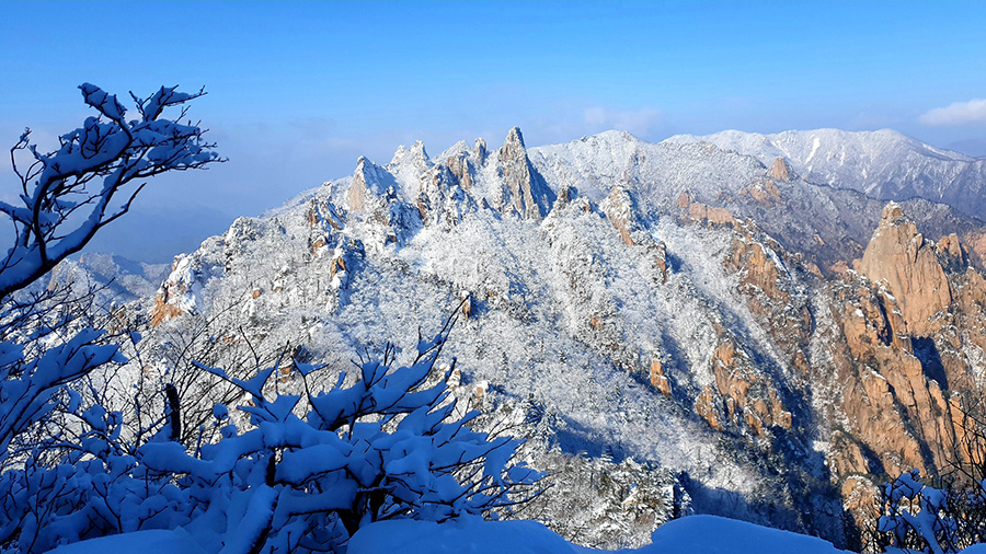 Snow Scenery of Gongnyong Ridge