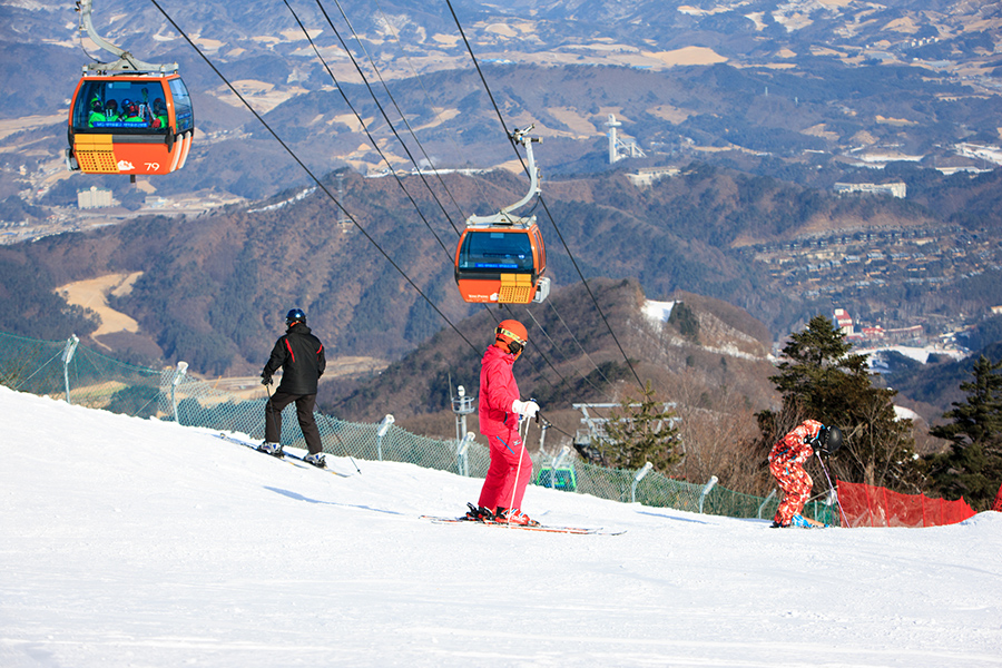 Yongpyong Ski Resort(Yongpyong Resort)