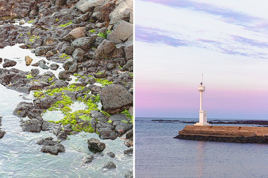 Lighthouse and Moss Covered Rocks in Jeju Hado-ri